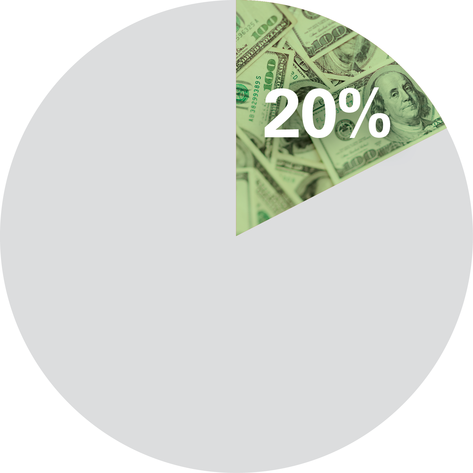 Pie Chart with 20% filled