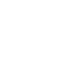 An apple