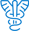 medicare icon